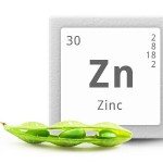 importanta zincului