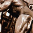 bicepsii-femurali