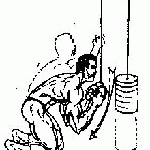 exercitii pentru abdomen