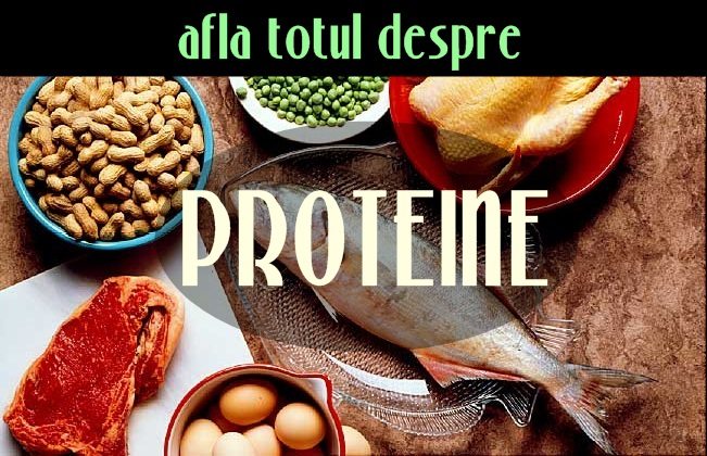 Proteine – tot ce trebuie sa stii despre ele (actualizat 2018)