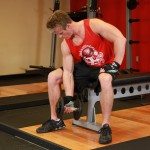 exercitii bicepsi