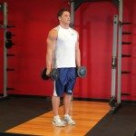 exercitii bicepsi