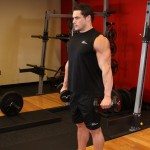 exercitii bicepsi