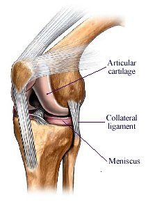 articulațiile ligamentului tendonului doare)