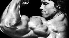 bicepsii lui Arnold