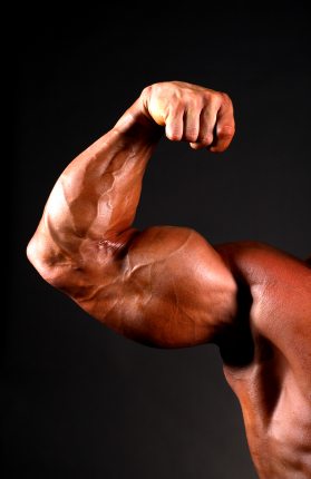cresterea in masa musculara