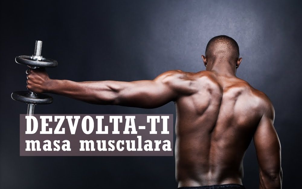 Program de antrenament pentru masa musculara. Variati antrenamentul!