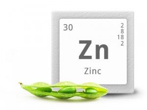 importanta zincului