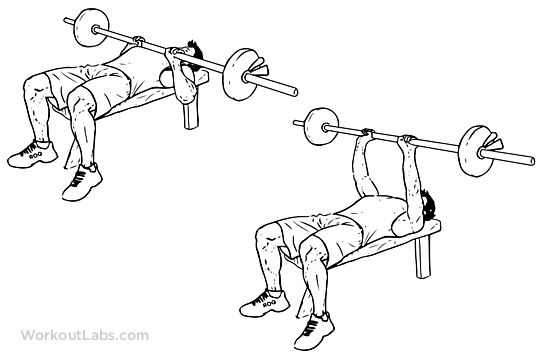 http://workoutlabs.com/wp-content/uploads/watermarked/Close-Grip_Barbell_Bench_Press.png