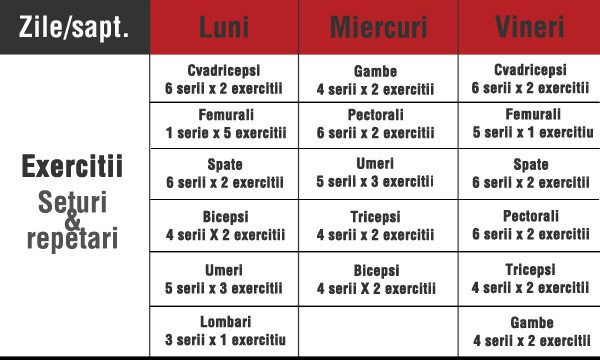 program sala incepatori slabit