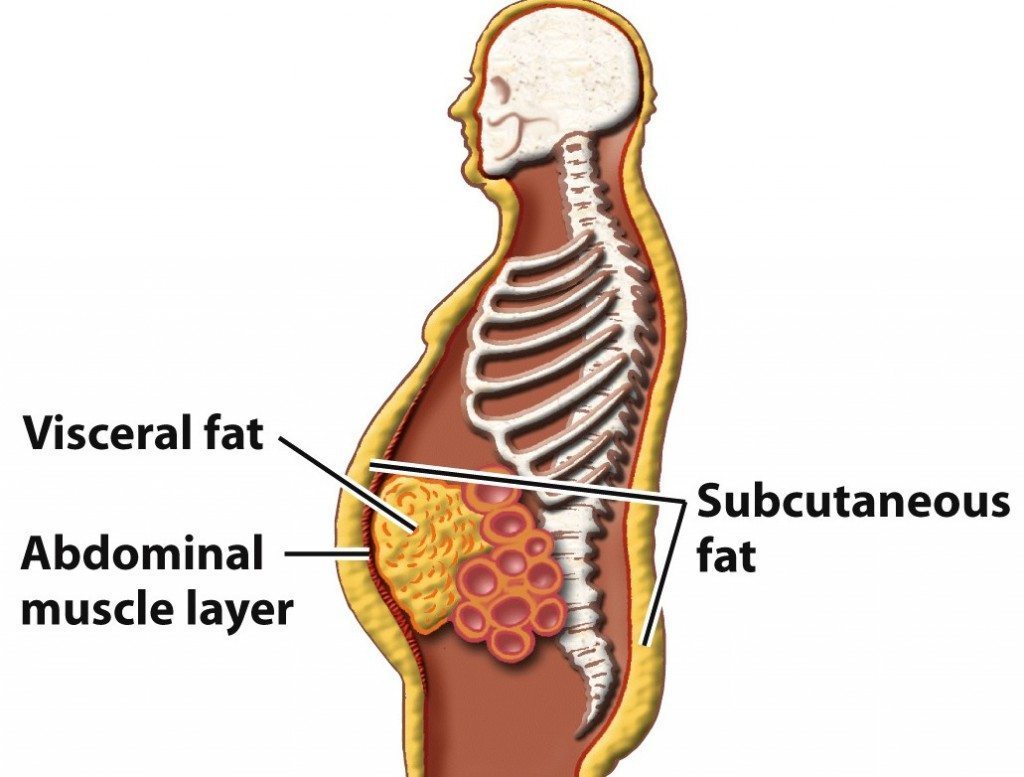 grasimea de pe abdomen