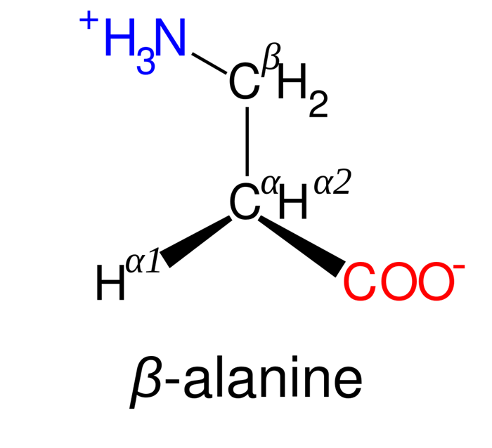 beta-alanina