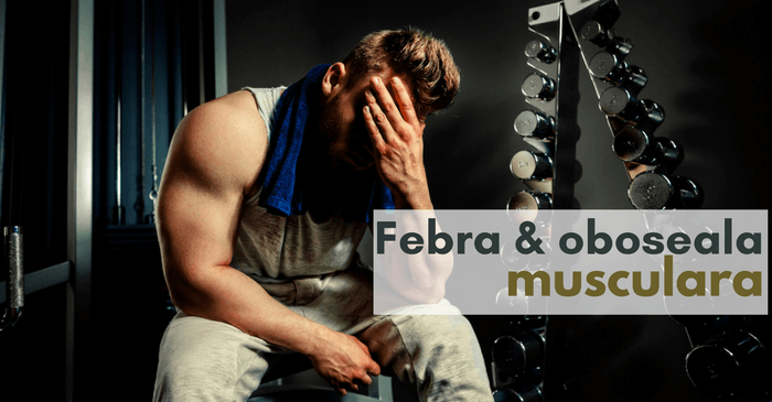 febra si oboseala musculara