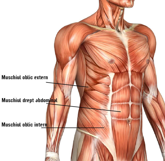 cum sa-ti antrenezi muschii abdominali