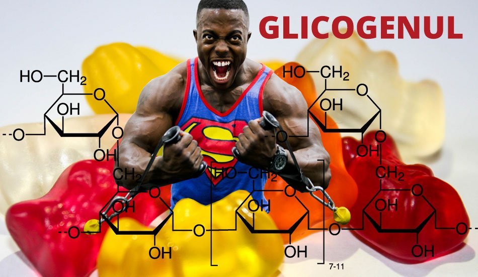 Când se termină glicogenul, atunci grăsimile arde?