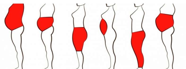 zonele corpului pentru depozitarea grasimii