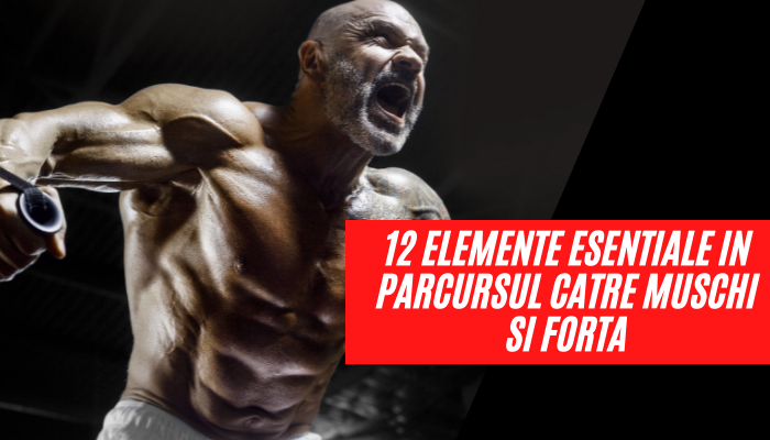 modalități de a crește rezistența și forța musculară